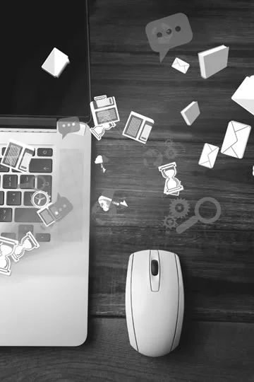 Otros servicios de Macadia