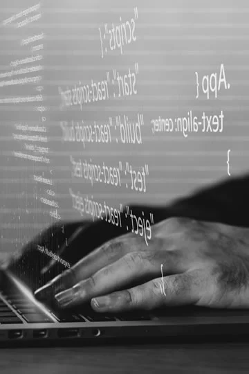 Desarrollo y mantenimiento en WordPress